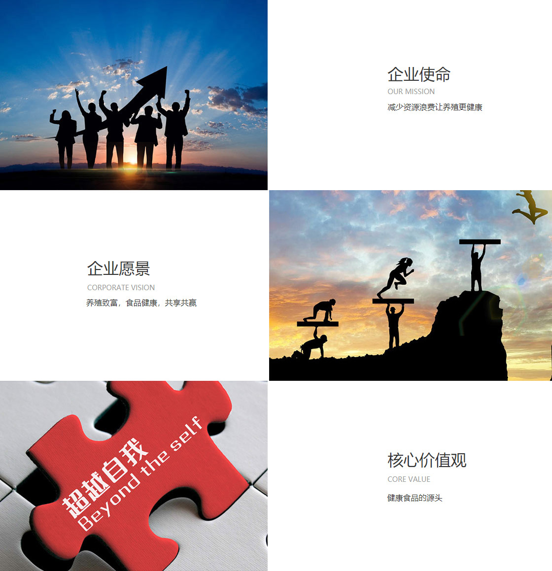 qm球盟会官方网站(图1)
